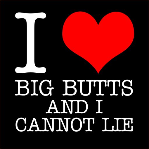 I Love Big Butts And I Cannot Lie T-shirt