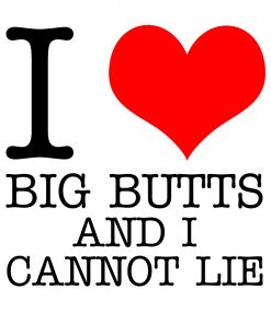 I Love Big Butts And I Cannot Lie T-shirt