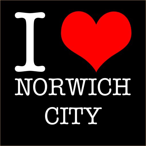 I Love Norwich City T-shirt